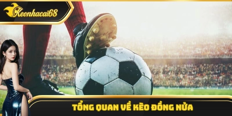 Một v&agrave;i th&ocirc;ng tin cơ bản cần nắm được về k&egrave;o đồng nửa