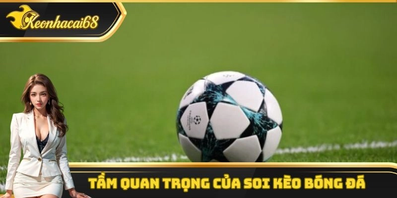 Soi k&egrave;o b&oacute;ng đ&aacute; c&oacute; vai tr&ograve; rất quan trọng khi tham gia đặt cược